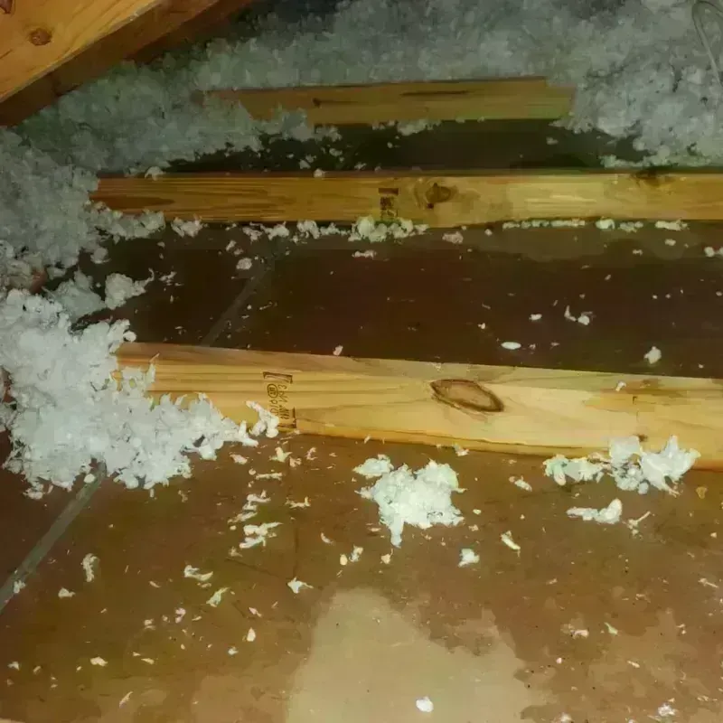 Attic Water Damage in Garfield County, OK