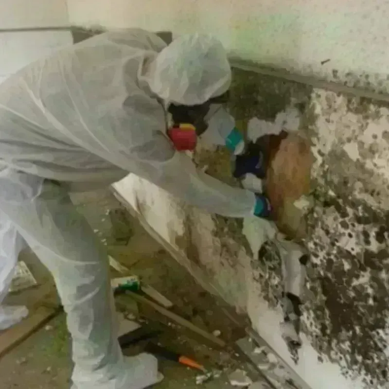 Mold Remediation and Removal in Garfield County, OK