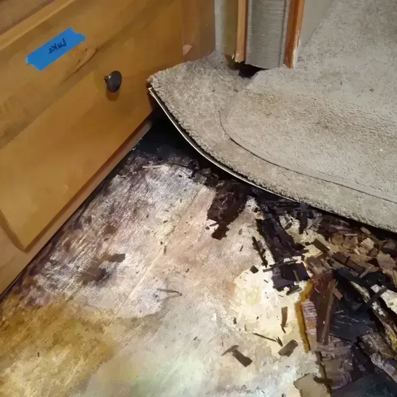 Wood Floor Water Damage in Garfield County, OK